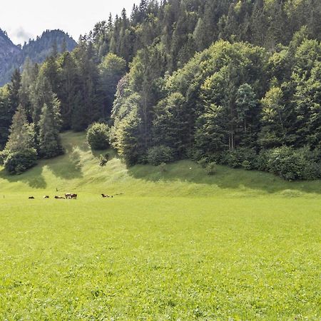 Ferienwohnung Jaegermeister Санкт-Мартин-бай-Лофер Экстерьер фото